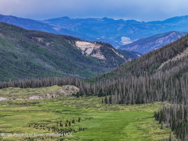 2418 Usfs Rd Unit 526, Creede, CO 81130 - photo 36