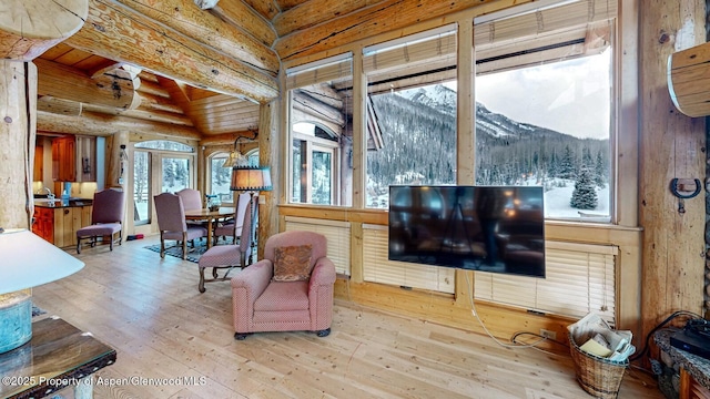 2418 Usfs Rd Unit 526, Creede, CO 81130 - living area with plenty of natural light, hardwood / wood-style flooring, and wood ceiling