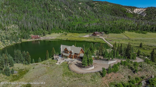 2418 Usfs Rd Unit 526, Creede, CO 81130 - photo 1