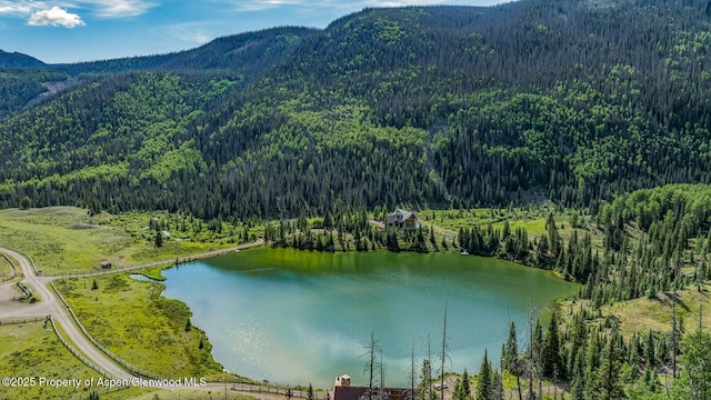 2418 Usfs Rd Unit 526, Creede, CO 81130 - photo 4