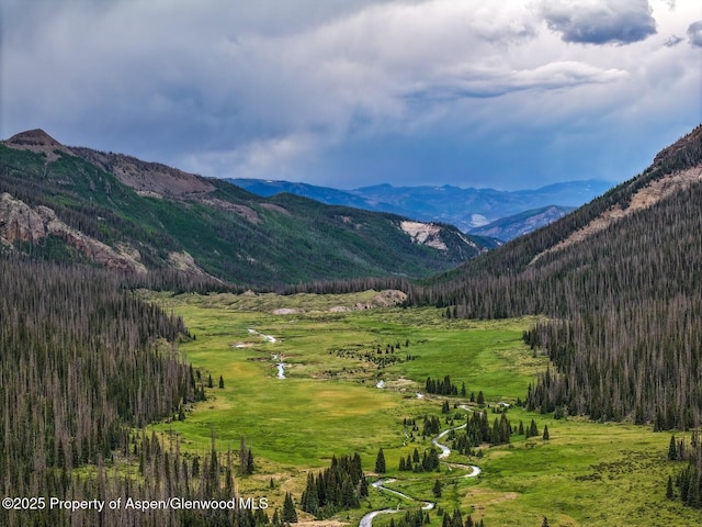 2418 Usfs Rd Unit 526, Creede, CO 81130 - photo 38