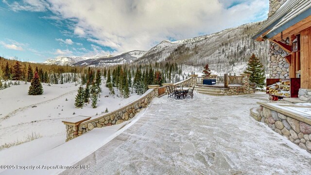 2418 Usfs Rd Unit 526, Creede, CO 81130 - mountain view