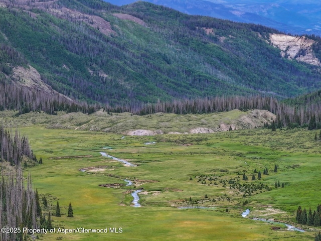 2418 Usfs Rd Unit 526, Creede, CO 81130 - photo 35