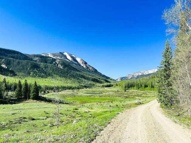 2418 Usfs Rd Unit 526, Creede, CO 81130 - view of mountain background