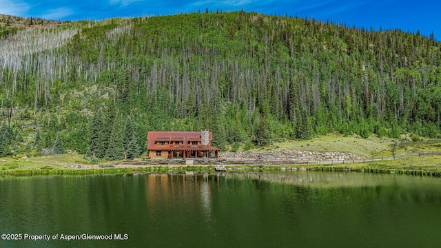 2418 Usfs Rd Unit 526, Creede, CO 81130 - photo 8