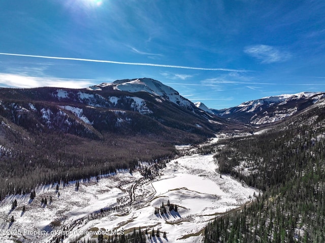 2418 Usfs Rd Unit 526, Creede, CO 81130 - view of mountain backdrop