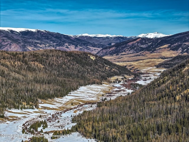 2418 Usfs Rd Unit 526, Creede, CO 81130 - mountain view featuring a forest