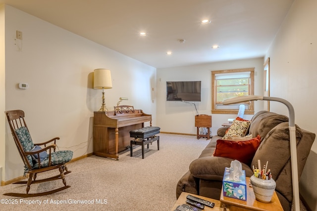 1126 Pitkin Ave, Glenwood Springs, CO 81601 - photo 15