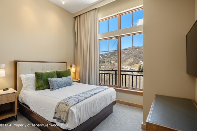 view of carpeted bedroom