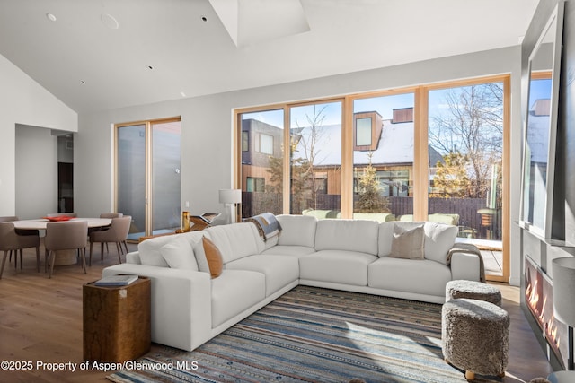 living room with wood-type flooring and high vaulted ceiling