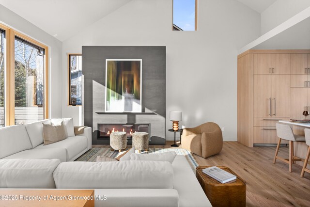 living room with light hardwood / wood-style flooring and high vaulted ceiling