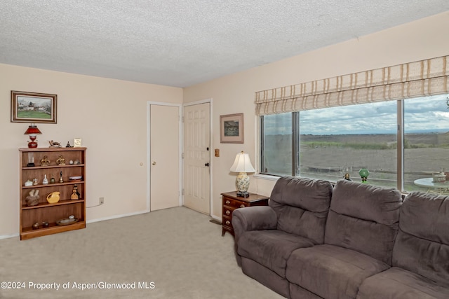 living room featuring light colored carpet and a textured ceiling