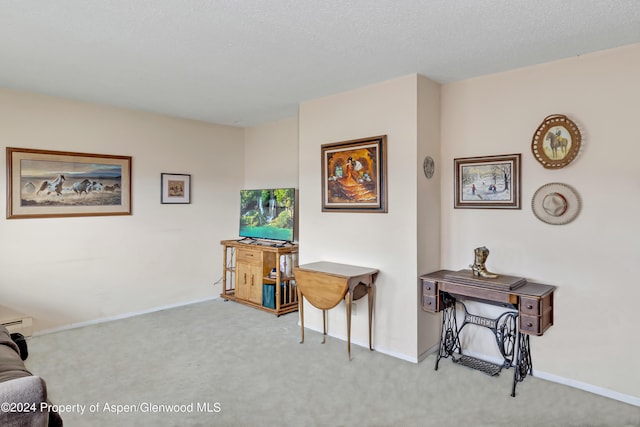 miscellaneous room featuring carpet and a textured ceiling