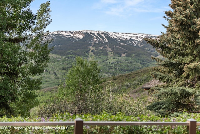 554 Sinclair Rd, Snowmass Village, CO 81615 - view of mountain background featuring a heavily wooded area