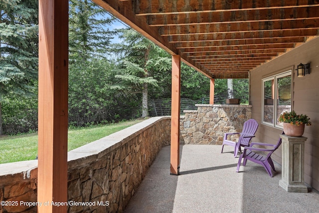 554 Sinclair Rd, Snowmass Village, CO 81615 - view of patio / terrace