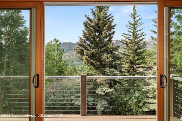 554 Sinclair Rd, Snowmass Village, CO 81615 - detailed view of mountains