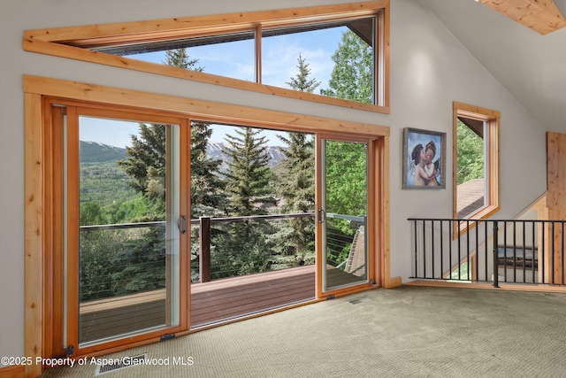 554 Sinclair Rd, Snowmass Village, CO 81615 - entryway with carpet floors, vaulted ceiling, a mountain view, and plenty of natural light
