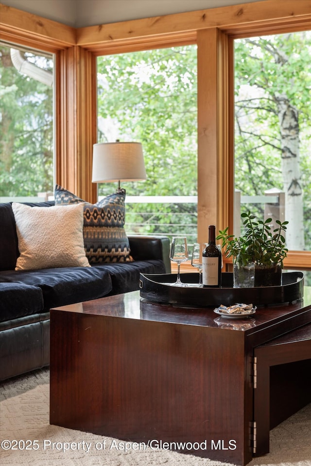 554 Sinclair Rd, Snowmass Village, CO 81615 - view of living area