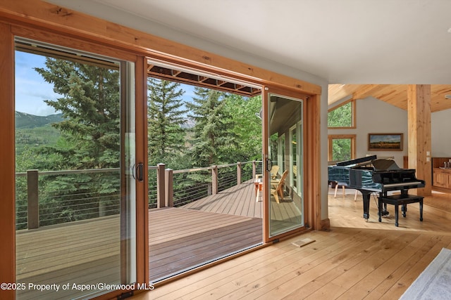 554 Sinclair Rd, Snowmass Village, CO 81615 - doorway to outside with wood-type flooring, plenty of natural light, a mountain view, and lofted ceiling