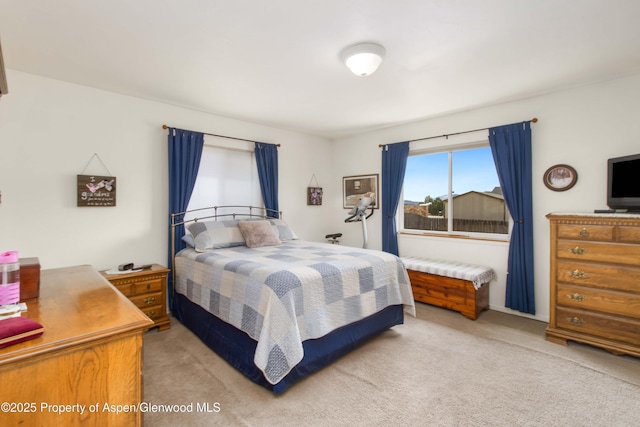 1557 Anvil View Ave, Rifle, CO 81650 - photo 14