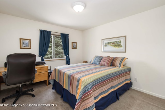 1557 Anvil View Ave, Rifle, CO 81650 - photo 13