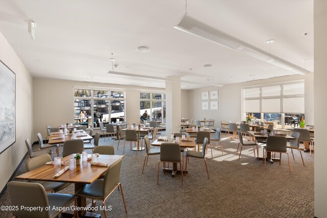 dining area featuring dark carpet