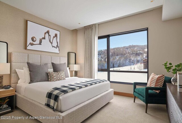 77 Wood Rd Unit 306-51, Snowmass Village, CO 81615 - carpeted bedroom with baseboards