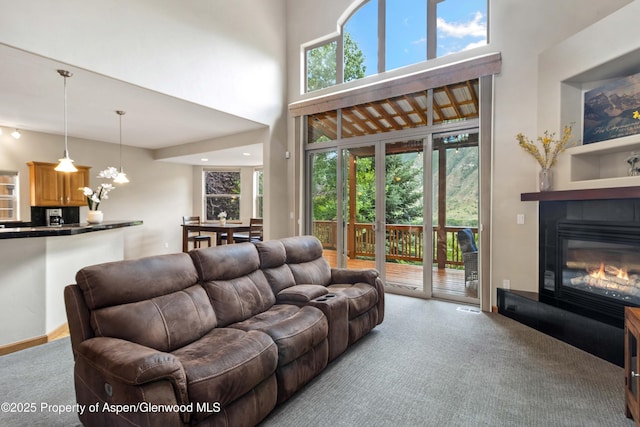383 Faas Ranch Rd, New Castle, CO 81647 - living room with carpet flooring, a glass covered fireplace, and a towering ceiling