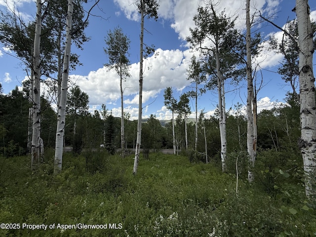 TBD Faraway Rd, Snowmass Village, CO 81615
