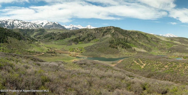 TBD Lake Wildcat Rd, Snowmass Village, CO 81615