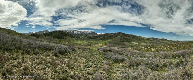 TBD Lake Wildcat Rd, Snowmass Village, CO 81615