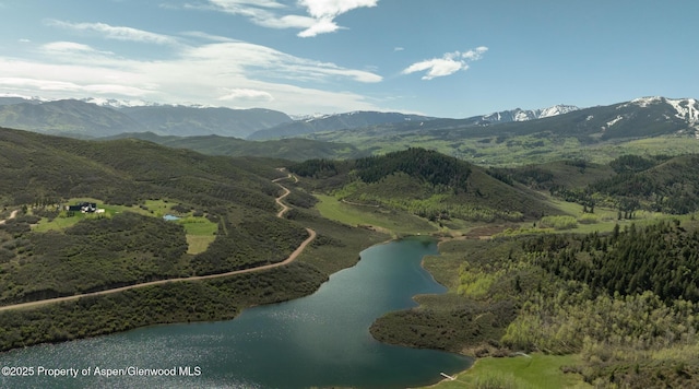 TBD Lake Wildcat Rd, Snowmass Village, CO 81615
