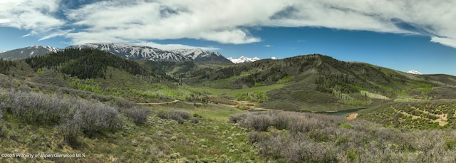 TBD Lake Wildcat Rd, Snowmass Village, CO 81615