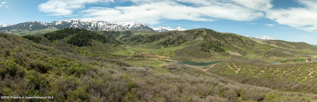 TBD Lake Wildcat Rd, Snowmass Village, CO 81615