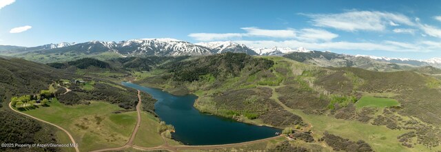 TBD Lake Wildcat Rd, Snowmass Village, CO 81615