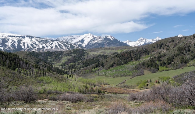 TBD Lake Wildcat Rd, Snowmass Village, CO 81615