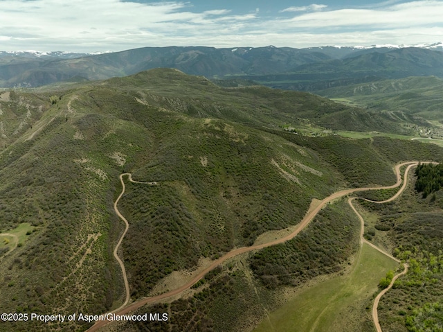 TBD Lake Wildcat Rd, Snowmass Village, CO 81615