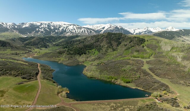 TBD Lake Wildcat Rd, Snowmass Village, CO 81615
