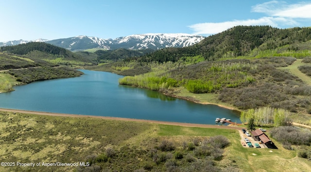 TBD Lake Wildcat Rd, Snowmass Village, CO 81615