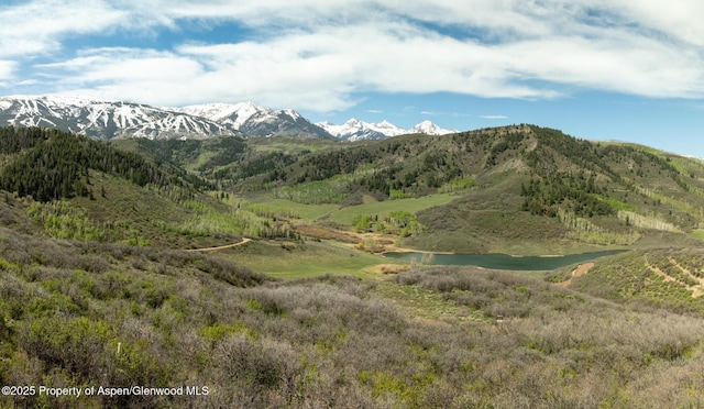 TBD Lake Wildcat Rd, Snowmass Village, CO 81615