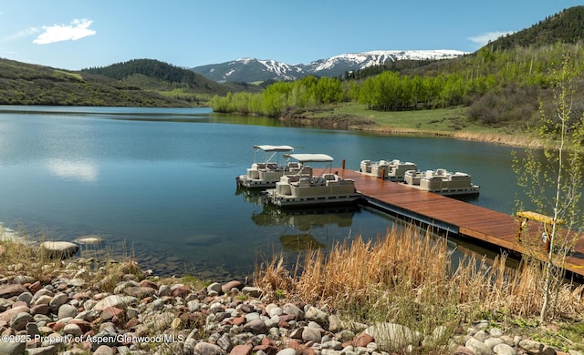 TBD Lake Wildcat Rd, Snowmass Village, CO 81615