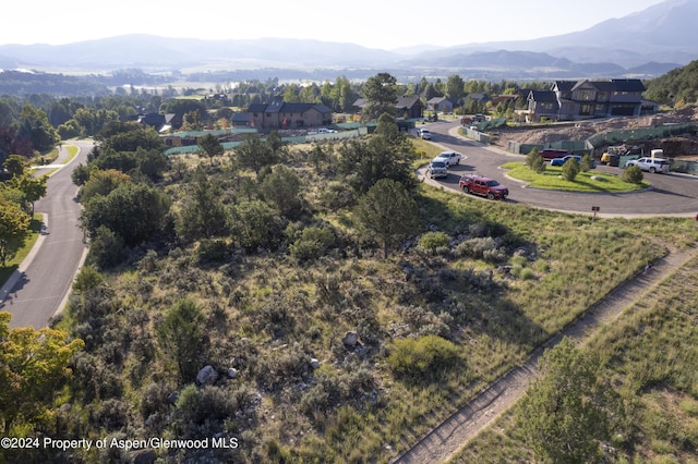 118 Bowles Dr, Carbondale, CO 81623