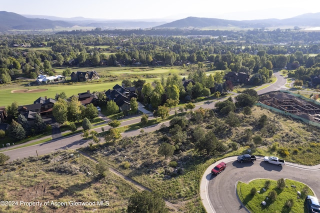 118 Bowles Dr, Carbondale, CO 81623