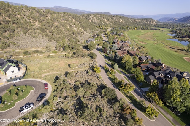 118 Bowles Dr, Carbondale, CO 81623