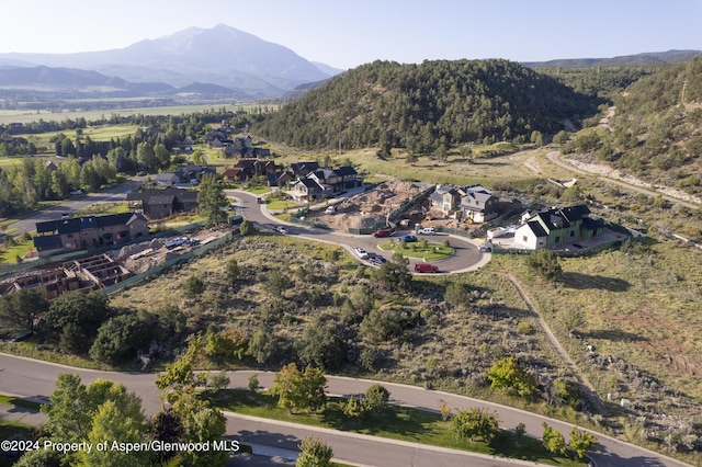 118 Bowles Dr, Carbondale, CO 81623