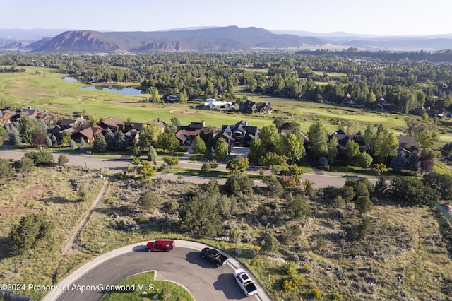 118 Bowles Dr, Carbondale, CO 81623