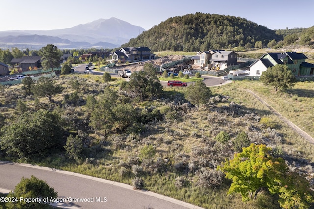 118 Bowles Dr, Carbondale, CO 81623