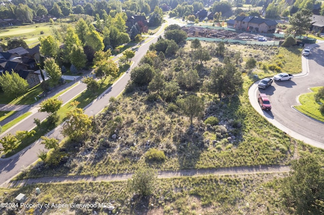 118 Bowles Dr, Carbondale, CO 81623
