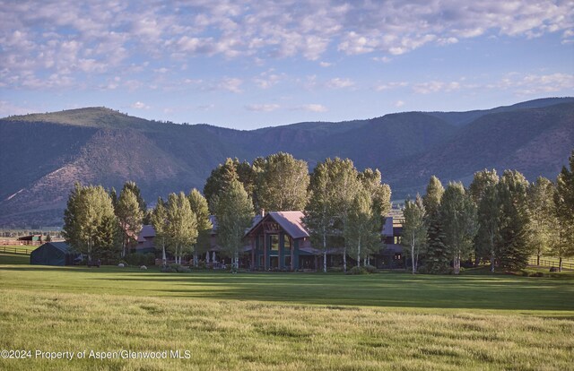 910 White Star Dr, Aspen, CO 81611 - photo 67