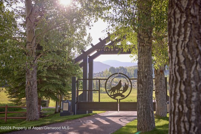 910 White Star Dr, Aspen, CO 81611 - photo 5